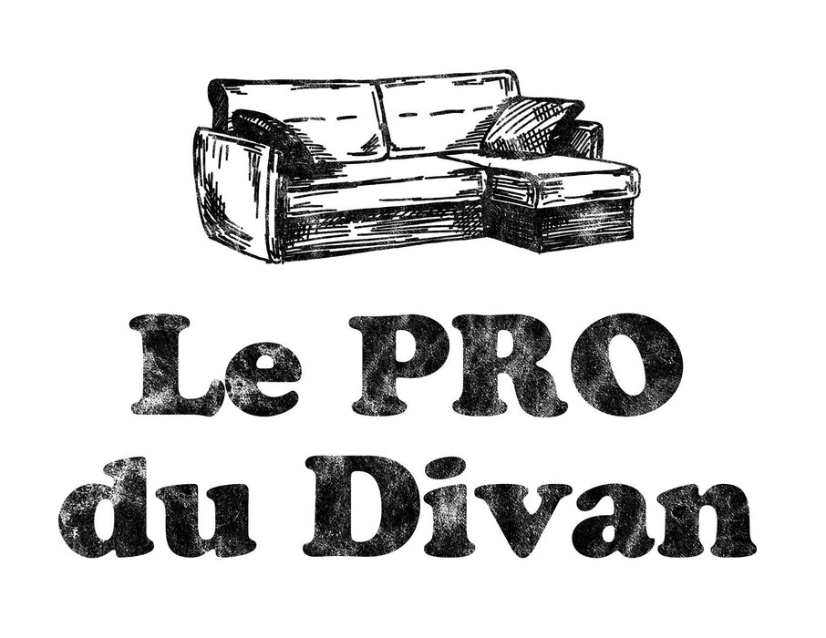 Le Pro du Divan - T-Shirt Col en ROND HOMME